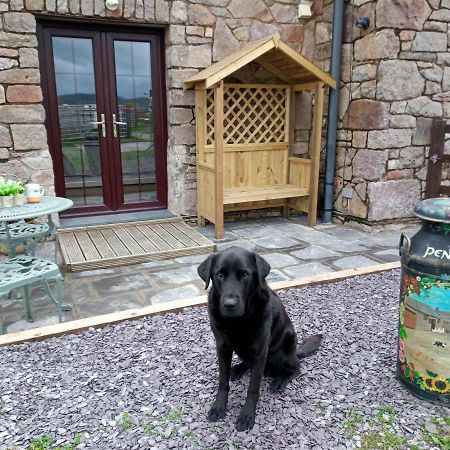 Conwy Pen Cefn Farm Holiday Abergele Extérieur photo
